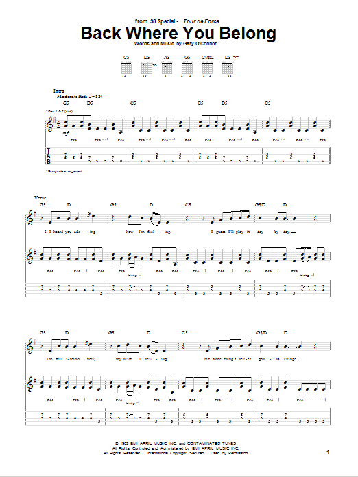 38 Special Back Where You Belong Sheet Music Notes & Chords for Guitar Tab - Download or Print PDF