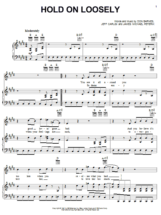 38 Special Hold On Loosely Sheet Music Notes & Chords for Easy Guitar Tab - Download or Print PDF