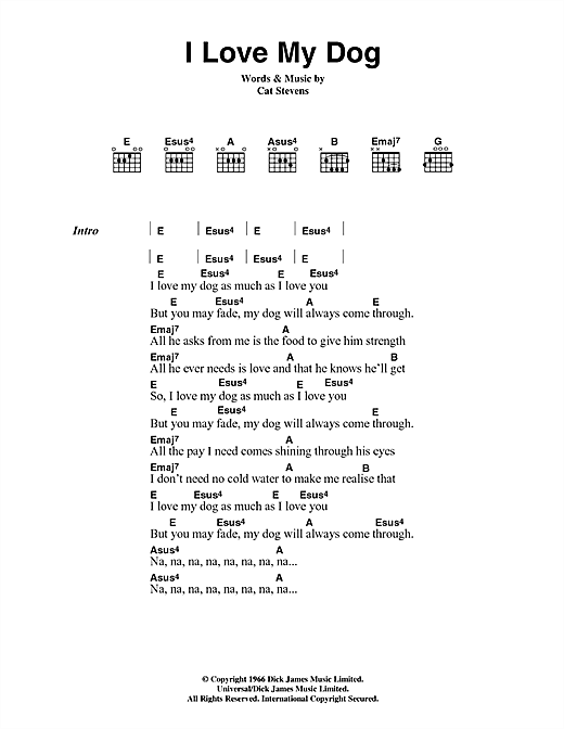 Cat Stevens I Love My Dog Sheet Music Notes Chords Download Pop