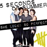 Download 5 Seconds of Summer She Looks So Perfect sheet music and printable PDF music notes