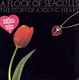 Download A Flock Of Seagulls The More You Live, The More You Love sheet music and printable PDF music notes