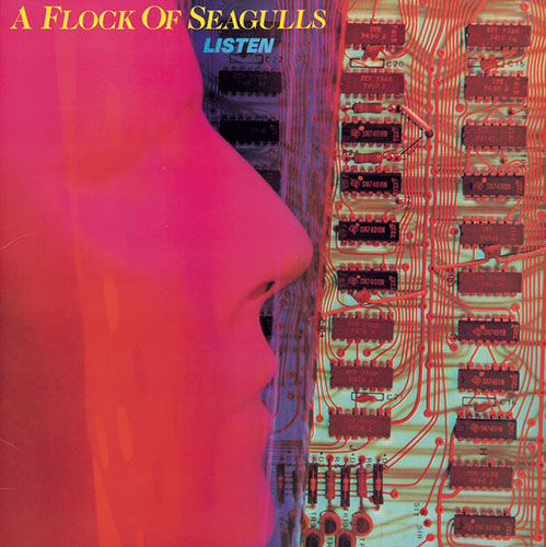 A Flock Of Seagulls, Wishing (If I Had A Photograph Of You), Keyboard