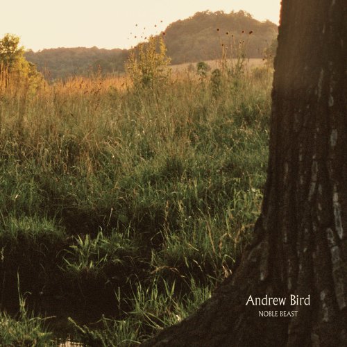 Andrew Bird, Oh No, Lyrics & Chords