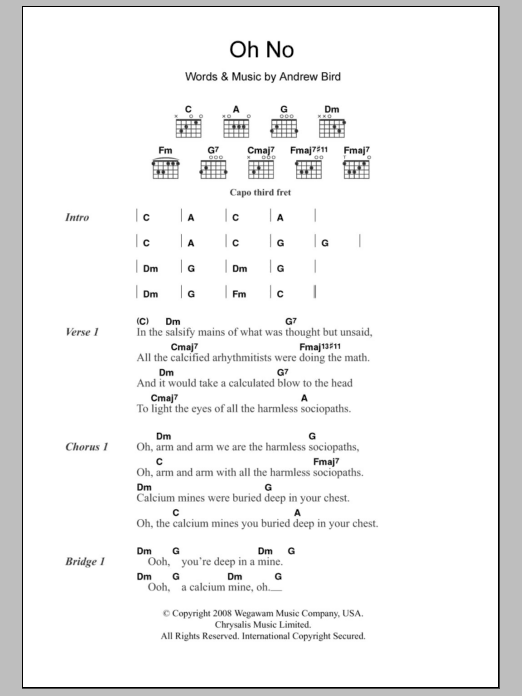 Andrew Bird Oh No Sheet Music Notes & Chords for Lyrics & Chords - Download or Print PDF