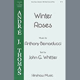 Download Anthony Bernarducci Winter Roses sheet music and printable PDF music notes