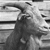Download B Lee Paddy McGintys Goat sheet music and printable PDF music notes