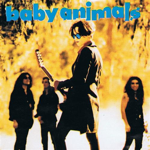 Baby Animals, Rush You, Melody Line, Lyrics & Chords