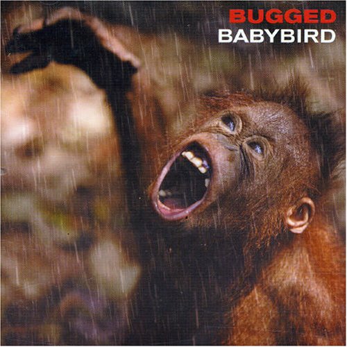 Babybird, Fireflies, Lyrics & Chords