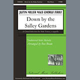 Download Ben Bram Down By The Salley Gardens sheet music and printable PDF music notes