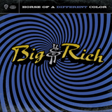 Download Big & Rich Save A Horse (Ride A Cowboy) sheet music and printable PDF music notes