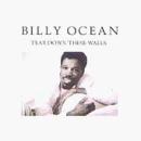 Billy Ocean, The Colour Of Love, Piano, Vocal & Guitar (Right-Hand Melody)