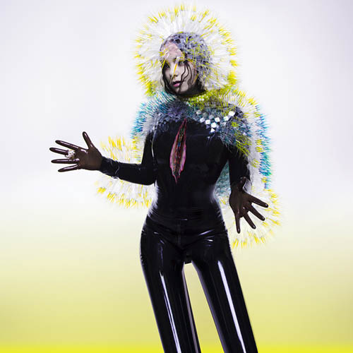 Bjork, Black Lake, Organ & Vocal