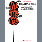 Download Bock & Harnick I'm Lost (from The Apple Tree) sheet music and printable PDF music notes