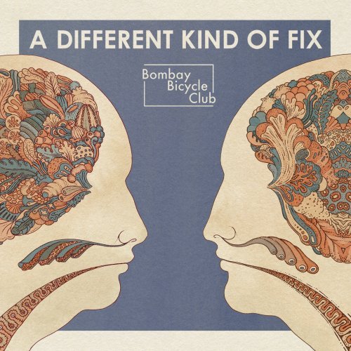 Bombay Bicycle Club, Shuffle, Lyrics & Chords