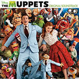 Download Bret McKenzie Man Or Muppet (from The Muppets) sheet music and printable PDF music notes