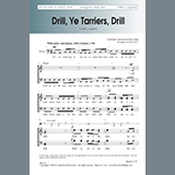 Download Brian Tate Drill, Ye Tarriers, Drill sheet music and printable PDF music notes