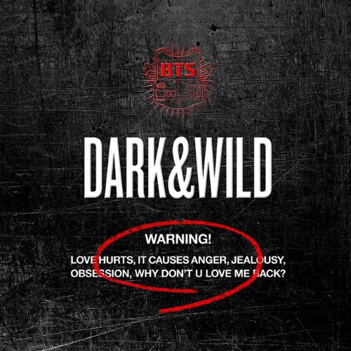 BTS, Danger, Piano & Lyrics