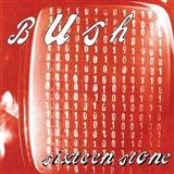 Download Bush Glycerine sheet music and printable PDF music notes