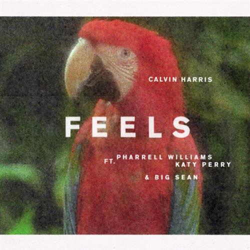 Calvin Harris, Feels (feat. Pharrell Williams, Katy Perry & Big Sean), Easy Bass Tab