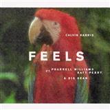 Download Calvin Harris Feels (feat. Pharrell Williams, Katy Perry & Big Sean) sheet music and printable PDF music notes