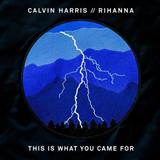 Download Calvin Harris This Is What You Came For (feat. Rihanna) sheet music and printable PDF music notes