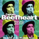 Captain Beefheart, I'm Glad, Ukulele