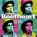 Captain Beefheart, I'm Glad, Lyrics & Chords