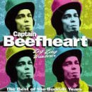 Download Captain Beefheart I'm Glad sheet music and printable PDF music notes