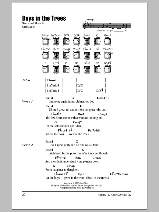 Carly Simon Boys In The Trees Sheet Music Notes & Chords for Lyrics & Chords - Download or Print PDF