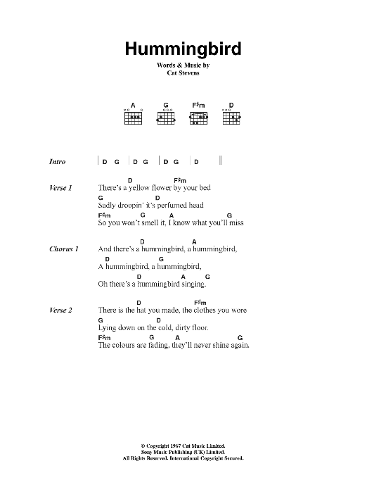 Cat Stevens Hummingbird Sheet Music Notes & Chords for Lyrics & Chords - Download or Print PDF