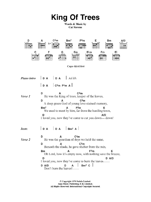 Cat Stevens King Of Trees Sheet Music Notes & Chords for Lyrics & Chords - Download or Print PDF