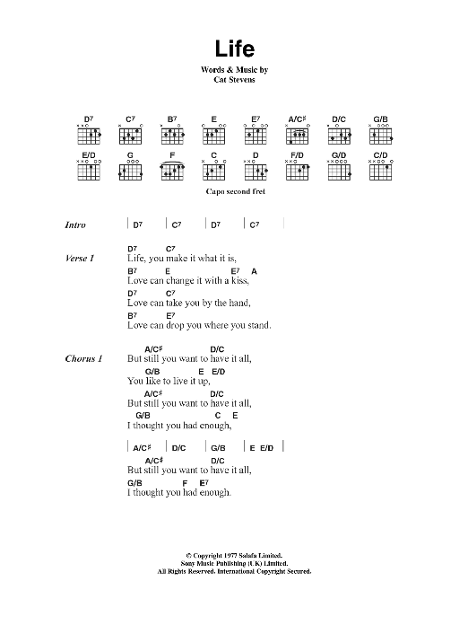 Cat Stevens Life Sheet Music Notes & Chords for Lyrics & Chords - Download or Print PDF