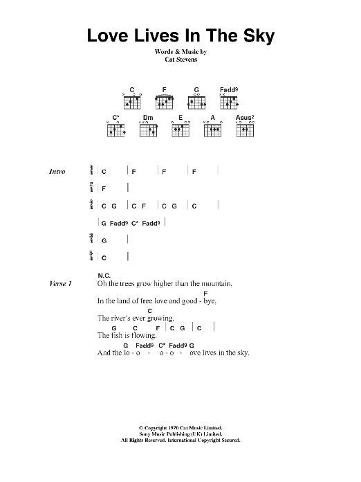 Cat Stevens Love Lives In The Sky Sheet Music Notes & Chords for Lyrics & Chords - Download or Print PDF