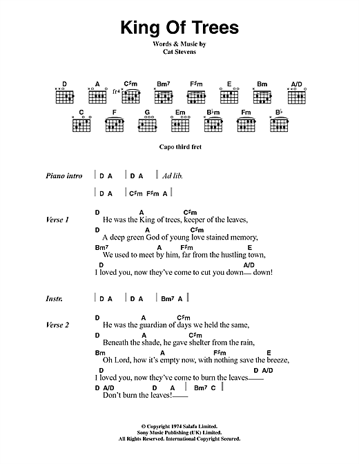 Cat Stevens King Of Trees Sheet Music Notes & Chords for Lyrics & Chords - Download or Print PDF