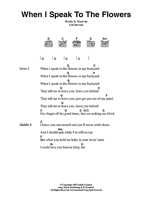 Cat Stevens When I Speak To The Flowers Sheet Music Notes & Chords for Lyrics & Chords - Download or Print PDF