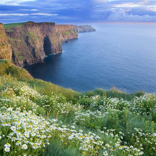 Celtic Folksong, Nancy Whisky, Banjo