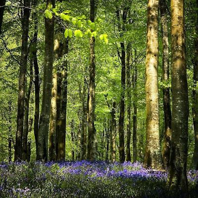 Christopher Le Fleming, If It's Ever Spring Again, Piano & Vocal