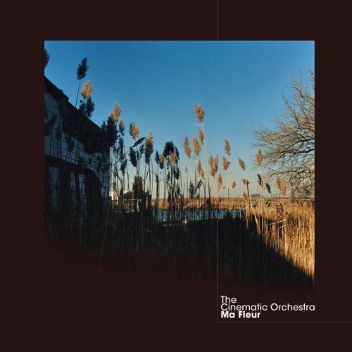Cinematic Orchestra, To Build A Home, Piano, Vocal & Guitar