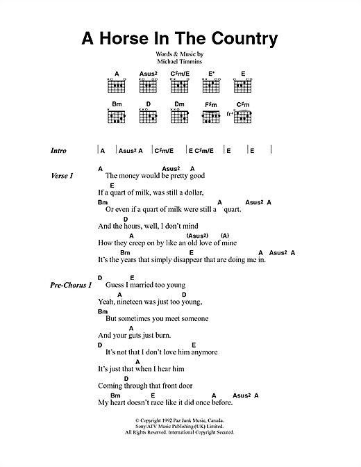 Cowboy Junkies A Horse In The Country Sheet Music Notes & Chords for Lyrics & Chords - Download or Print PDF