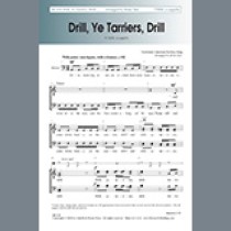 Brian Tate Drill, Ye Tarriers, Drill sheet music 1913961
