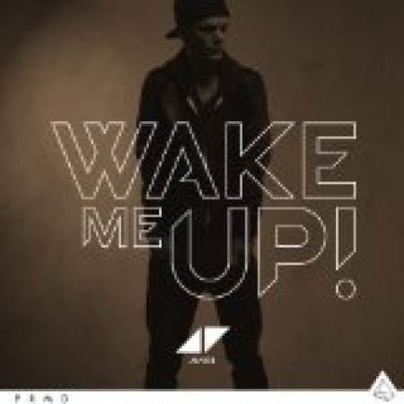 Avicii Wake Me Up! 99915