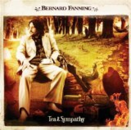 Bernard Fanning Songbird 38822