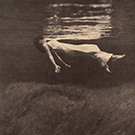 Bill Evans Skating In Central Park 442177