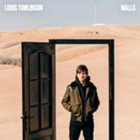 Louis Tomlinson Walls 437961