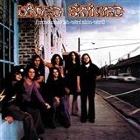 Lynyrd Skynyrd Simple Man 56793
