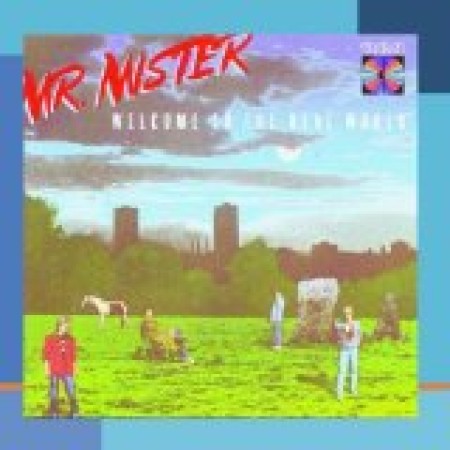 Mr. Mister Broken Wings 95515