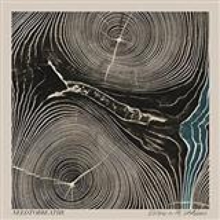 NEEDTOBREATHE Brother 160442