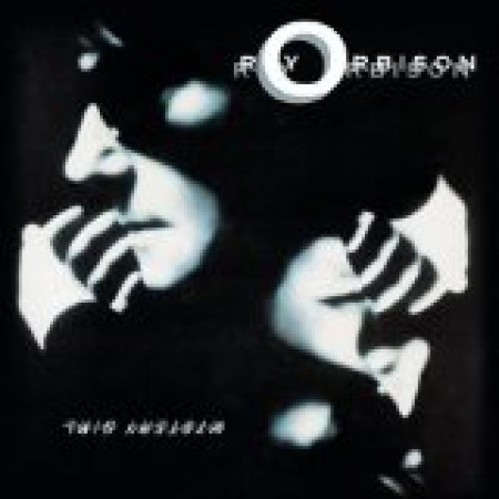 Roy Orbison A Love So Beautiful 20362