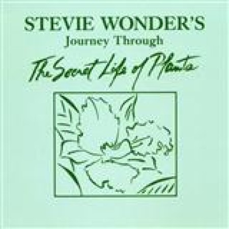 Stevie Wonder Power Flower 21936