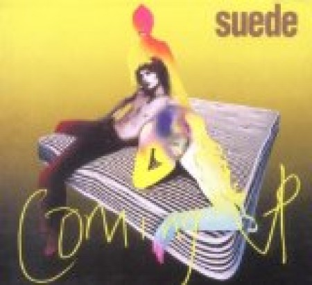 Suede Beautiful Ones 23219